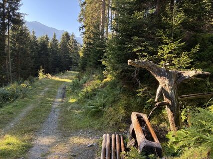 Photo de Martin Weninger le long du parcours