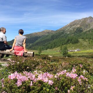 Gemütlich Verweilen entlang des Ursprungalm-Rundweges