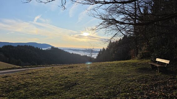 Fotografia z W B MA na trase