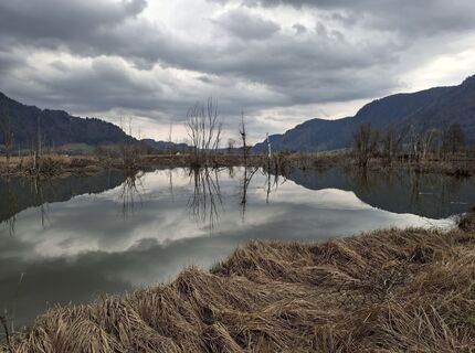 Foto von Jacky Blues 1 entlang der Tour