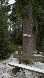 Fotografija s spletne strani damilaja242 na poti