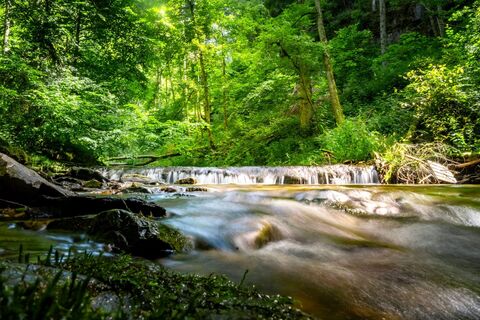 Wutachschlucht