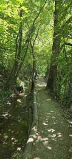 Photo de titi le long du parcours
