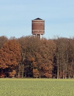 Foto von Larsen Lüngen entlang der Tour
