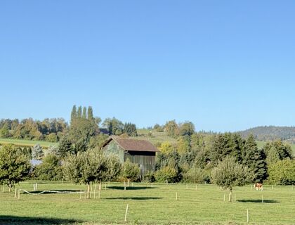 Photo de Christian Mark le long du parcours