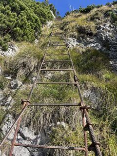 Fotografija s spletne strani Nadine A. na poti