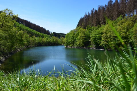 Karta