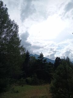 Fotografija s spletne strani Aner na poti