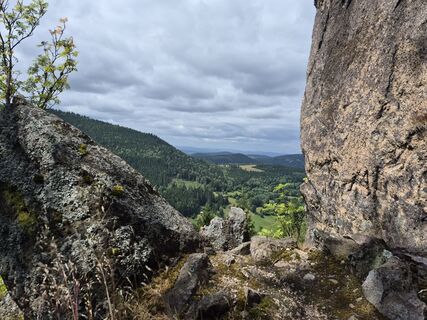 Zdjęcie z Wollomator wzdłuż trasy