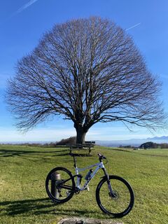 Foto von Sven Krieblin entlang der Tour
