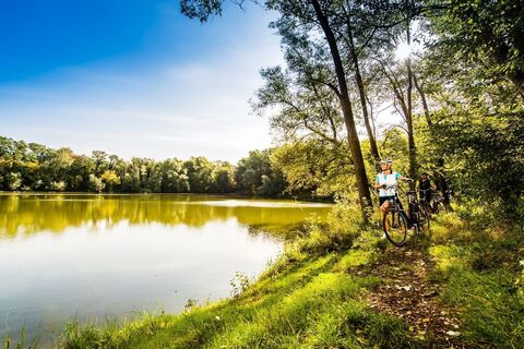 Teichlandschaft rund um die Region Bad Radkersburg
