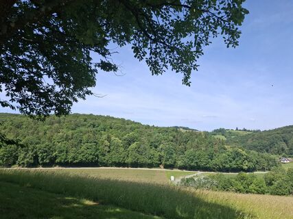 Foto von Stefanie Holzapfel entlang der Tour