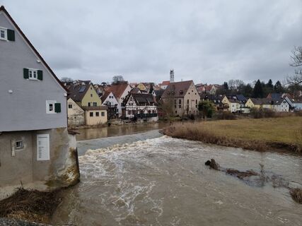 Zdjęcie z Felix wzdłuż trasy