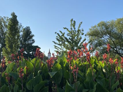 Ilsfeld | HeilbronnerLand
