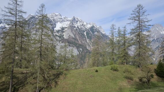 Fotografija s spletne strani kriessda na poti