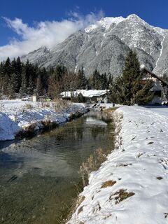 Photo de Heikoala le long du parcours