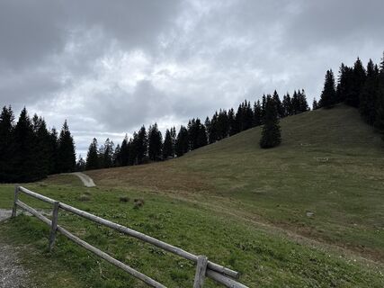 Fotografia z Similaun na trase