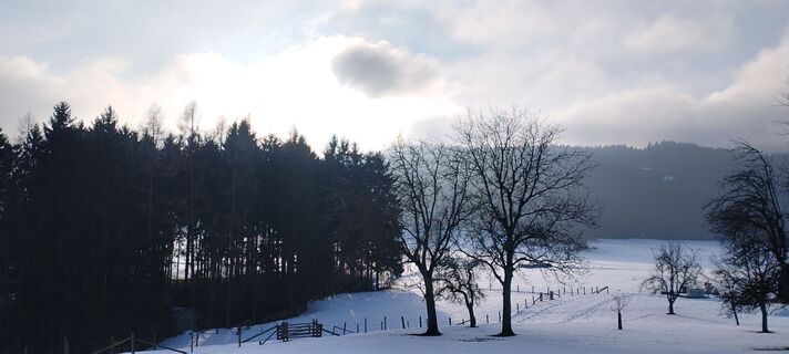 Fotografia z Frieda Schatz na trase