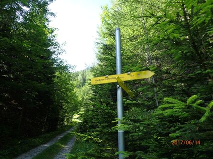Abzweig Unterer Herminensteig