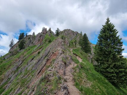 Foto von Felix entlang der Tour