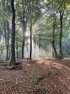 Photo de Marleen Blomsma le long du parcours