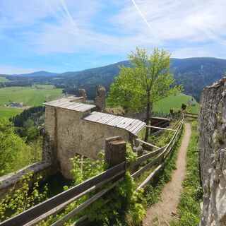 Foto von Sonja Enzenhofer entlang der Tour
