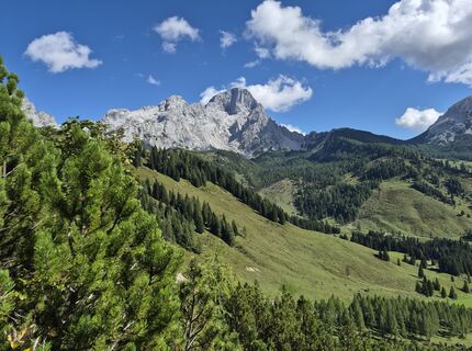 Fotografija s spletne strani Wolfgang Scholz 1 na poti