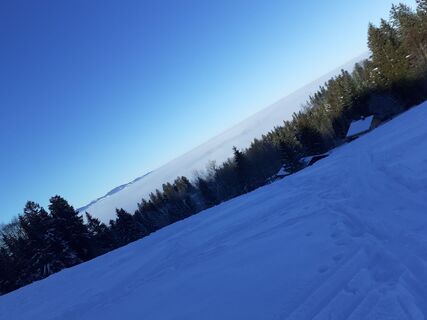 Fotografija s spletne strani Marius Rahner na poti