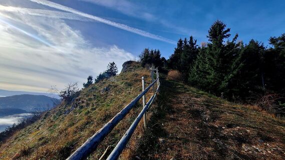 Фото с сайта Regina Fleischmann во время экскурсии