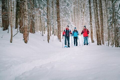 Winterliche Forstwege