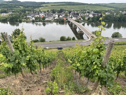 Zdjęcie z Martin Lorscheider wzdłuż trasy