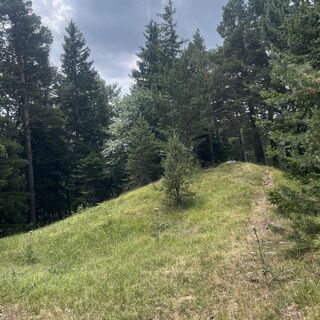 Foto von Nicole Muck entlang der Tour