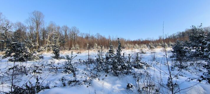 Foto fra Pascal Meijers undervejs på turen