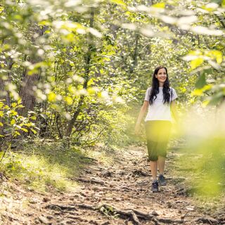 Wandern im Wienerwald