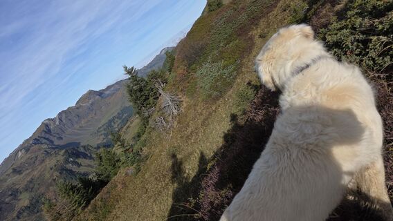 Foto von V Feurstein entlang der Tour