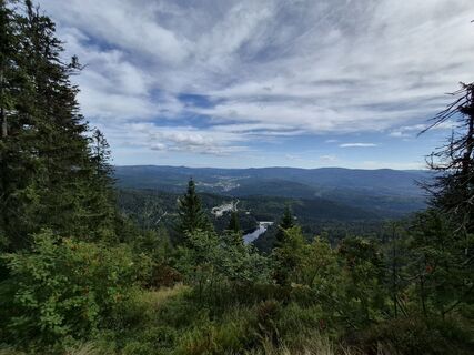 Photo de Wollomator le long du parcours