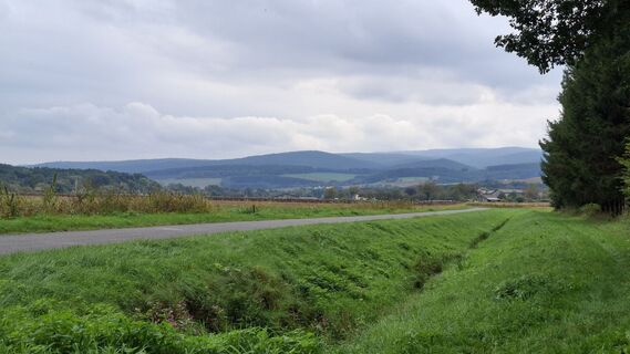 Fotografia z Hubert Sellnar na trase