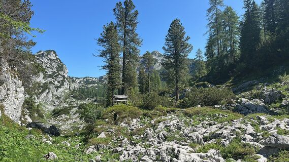Foto de Elke Preßl a lo largo del recorrido