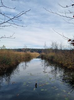 Foto fra MNw undervejs på turen