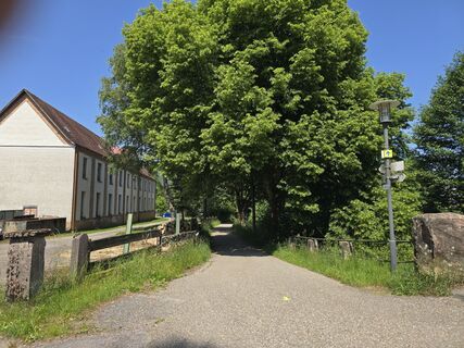 Foto von Michel Kennel entlang der Tour