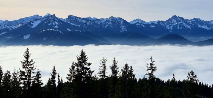 Foto de Thomas Schekira a lo largo del recorrido