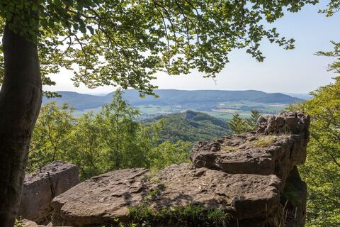 Aussicht vom Thüster Berg