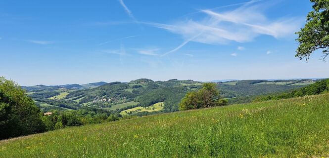 Ausblick nach Brand Laaben