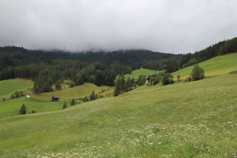 Foto de Günter Kleutsch a lo largo del recorrido