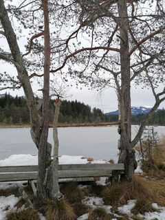 Fotografia z Dagmar Hofer na trase