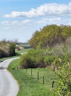 Foto de Mimi a lo largo del recorrido