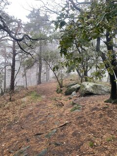 Photo de Pauline Pietsch le long du parcours