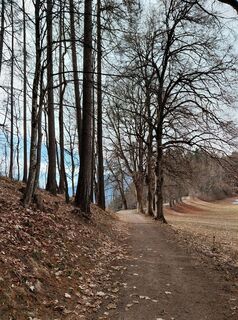 Foto von Sabine Steuxner entlang der Tour