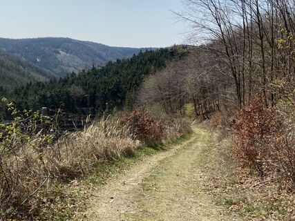 Fotografie z Attila Mihalcz na trase
