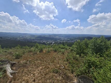 Photo de Georg Meisterjahn le long du parcours
